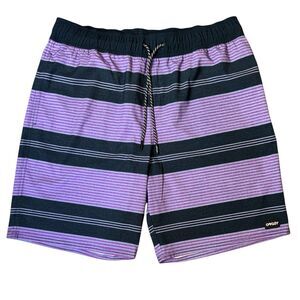 Oakley Hydrolix Boardshorts Swim Trunks Size L Stripe Purple Navy Marlin RC 20”